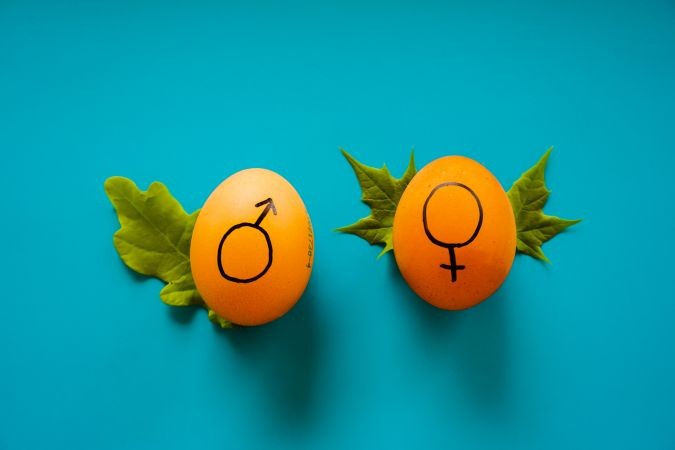 Bireysel Manifesto - Cinsiyet Ayrımcılığına Dur Diyelim!