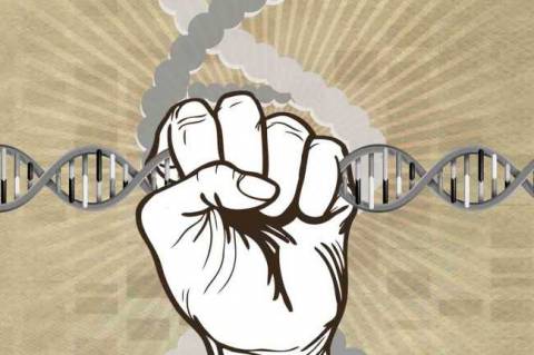 Patent Savaşları: CRISPR-Cas Sistemi