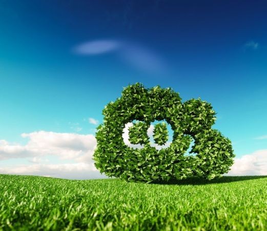 Net Sıfır Karbon İçin Ne Kadar Yatırım?