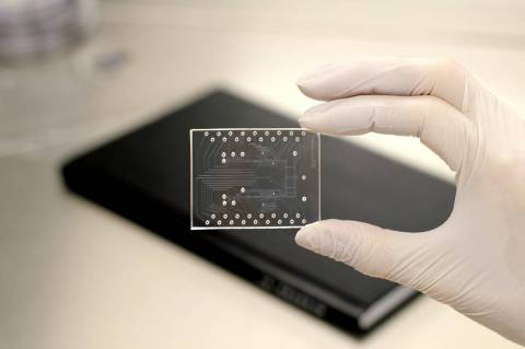 What-is-microfluidic-chip